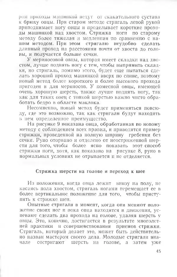 Годарри Боуэн - Мастерство стрижки овец - Страница № 45 Годарри Боуэн - Мастерство стрижки овец - Страница № 45