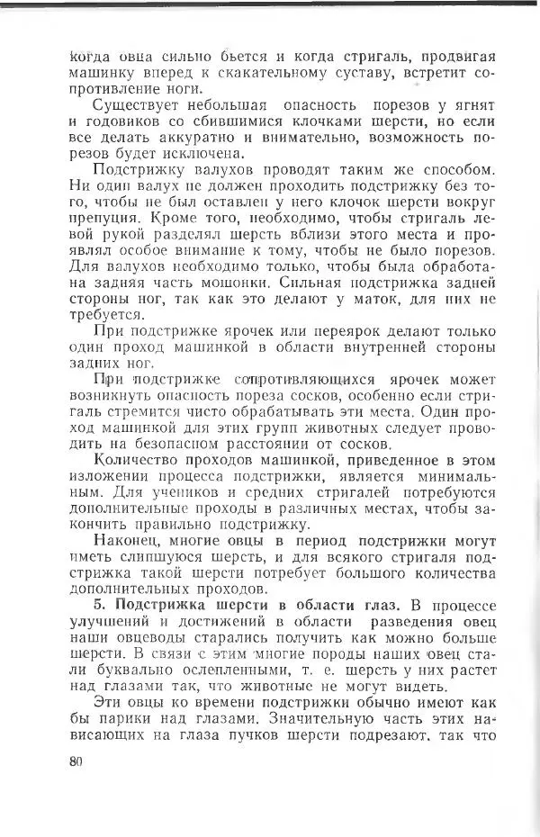 Годарри Боуэн - Мастерство стрижки овец - Страница № 80 Годарри Боуэн - Мастерство стрижки овец - Страница № 80