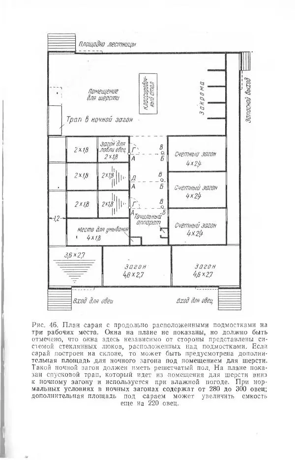 Годарри Боуэн - Мастерство стрижки овец - Страница № 131 Годарри Боуэн - Мастерство стрижки овец - Страница № 131