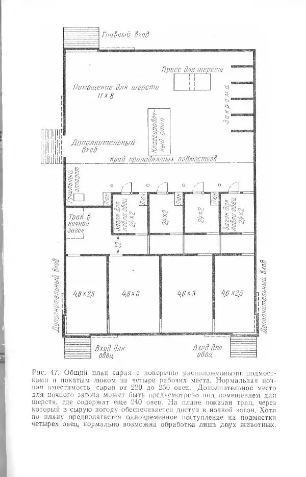 Годарри Боуэн - Мастерство стрижки овец - Страница № 133 Годарри Боуэн - Мастерство стрижки овец - Страница № 133