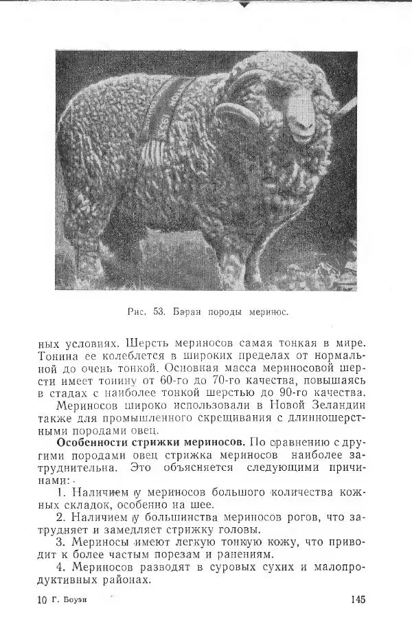 Годарри Боуэн - Мастерство стрижки овец - Страница № 145 Годарри Боуэн - Мастерство стрижки овец - Страница № 145