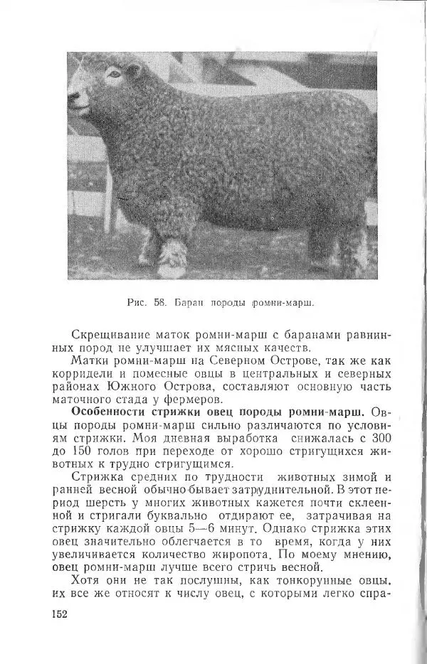 Годарри Боуэн - Мастерство стрижки овец - Страница № 152 Годарри Боуэн - Мастерство стрижки овец - Страница № 152