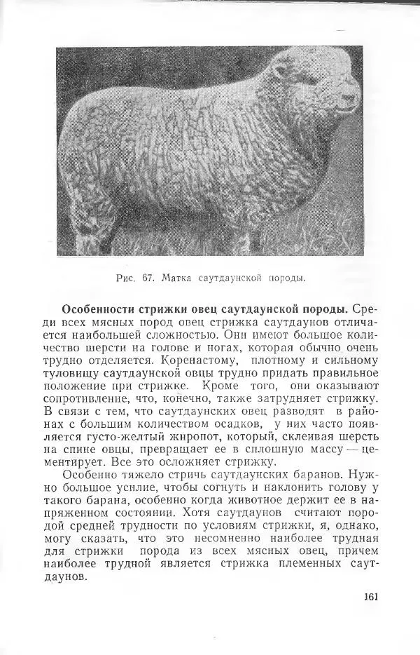 Годарри Боуэн - Мастерство стрижки овец - Страница № 161 Годарри Боуэн - Мастерство стрижки овец - Страница № 161