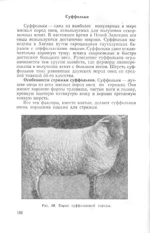 Годарри Боуэн - Мастерство стрижки овец - Страница № 162 Годарри Боуэн - Мастерство стрижки овец - Страница № 162