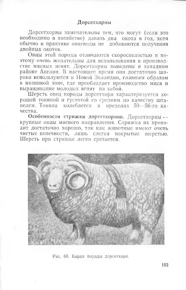 Годарри Боуэн - Мастерство стрижки овец - Страница № 163 Годарри Боуэн - Мастерство стрижки овец - Страница № 163