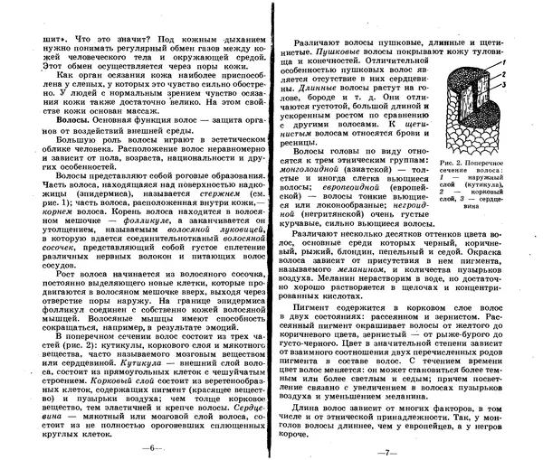 Анатолий Константинов - Как стать парихмахером - Страница № 3