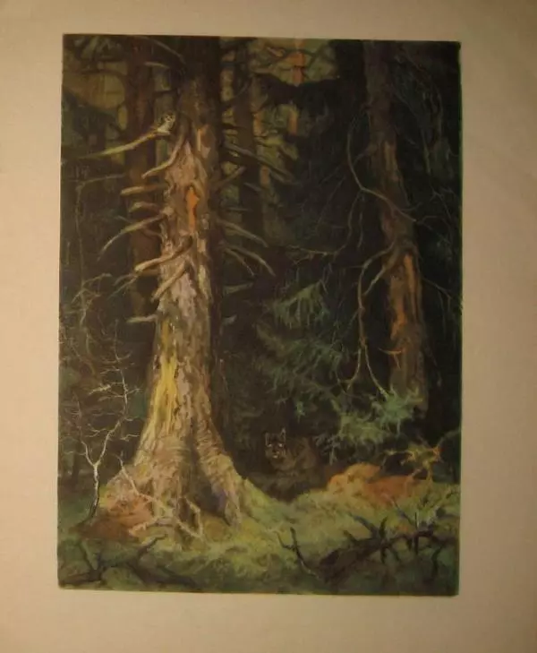 Иван Соколов-Микитов - Весна в лесу - Страница № 15