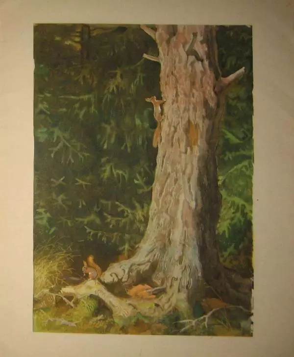 Иван Соколов-Микитов - Весна в лесу - Страница № 17