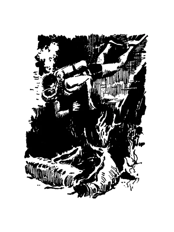 Александр Насибов - След на дне - Страница № 31