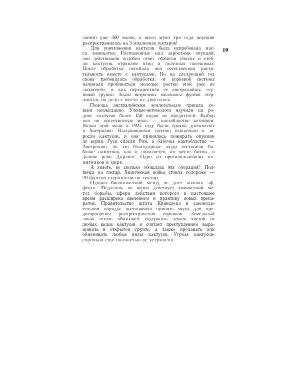 Савур Турдиев - Кактусы - Страница № 19