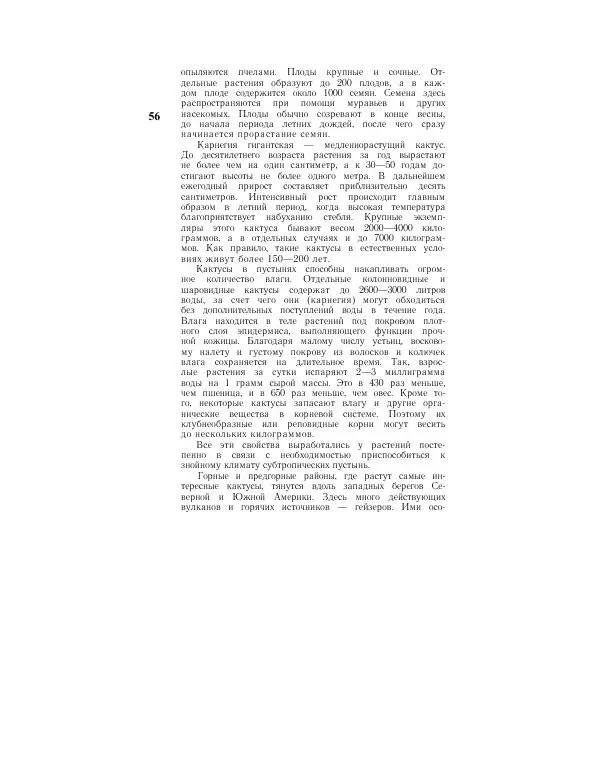 Савур Турдиев - Кактусы - Страница № 56
