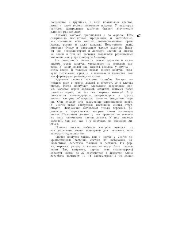 Савур Турдиев - Кактусы - Страница № 67