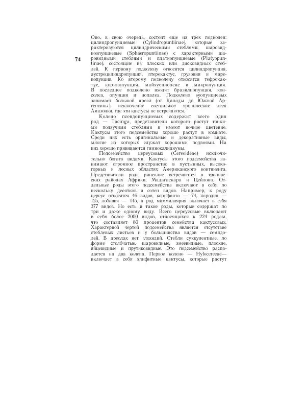 Савур Турдиев - Кактусы - Страница № 74