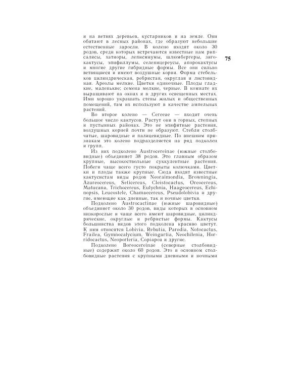 Савур Турдиев - Кактусы - Страница № 75