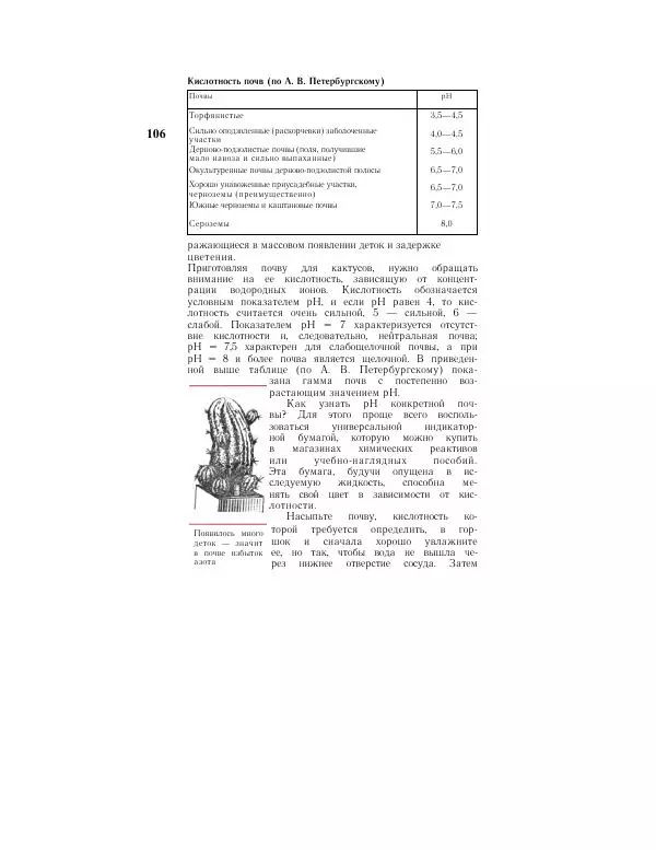 Савур Турдиев - Кактусы - Страница № 106