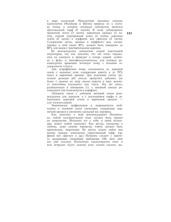 Савур Турдиев - Кактусы - Страница № 111