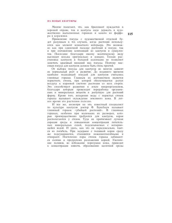 Савур Турдиев - Кактусы - Страница № 115