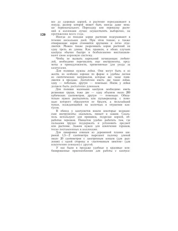 Савур Турдиев - Кактусы - Страница № 120