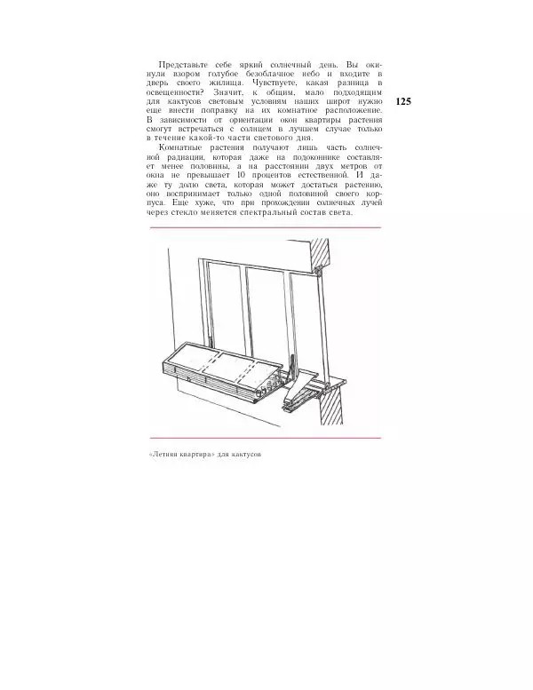 Савур Турдиев - Кактусы - Страница № 125