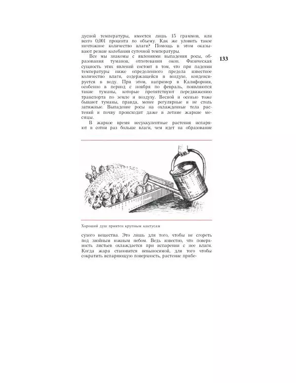 Савур Турдиев - Кактусы - Страница № 133