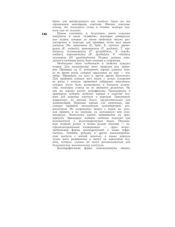 Савур Турдиев - Кактусы - Страница № 146