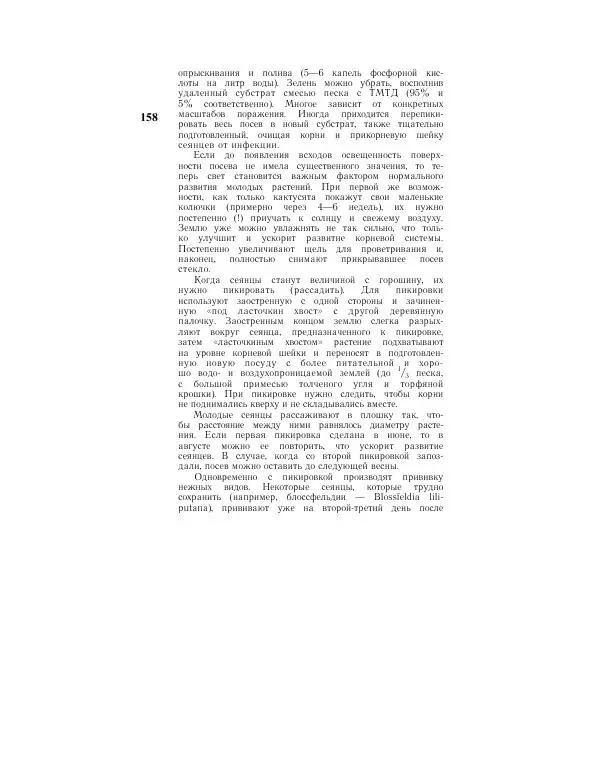 Савур Турдиев - Кактусы - Страница № 158