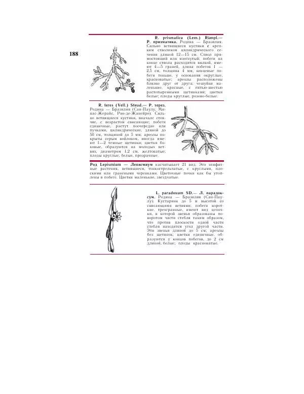 Савур Турдиев - Кактусы - Страница № 188