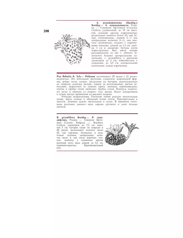 Савур Турдиев - Кактусы - Страница № 208