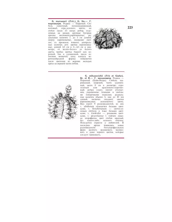 Савур Турдиев - Кактусы - Страница № 223