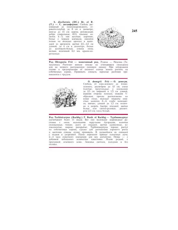 Савур Турдиев - Кактусы - Страница № 245