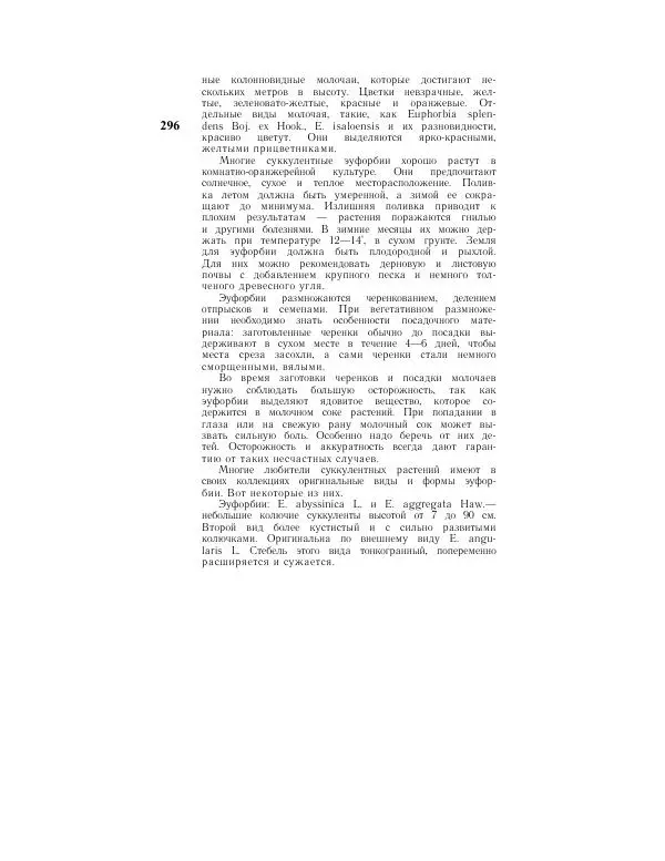 Савур Турдиев - Кактусы - Страница № 296