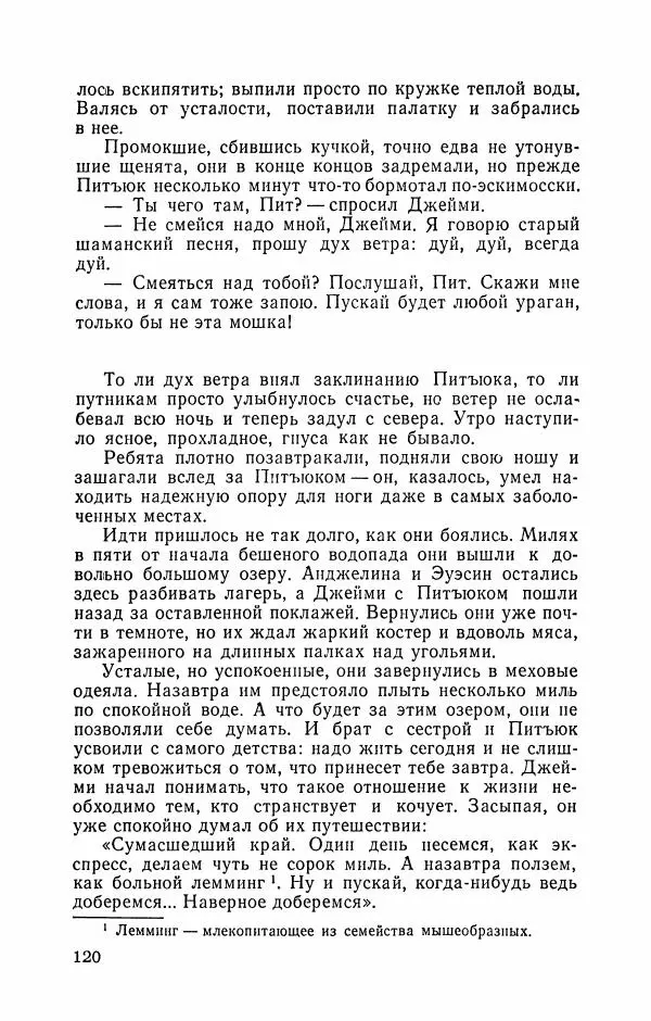 Либера Карлье - Проклятие могилы викинга. Керри в дни войны. Тайна «Альтамаре» - Страница № 122