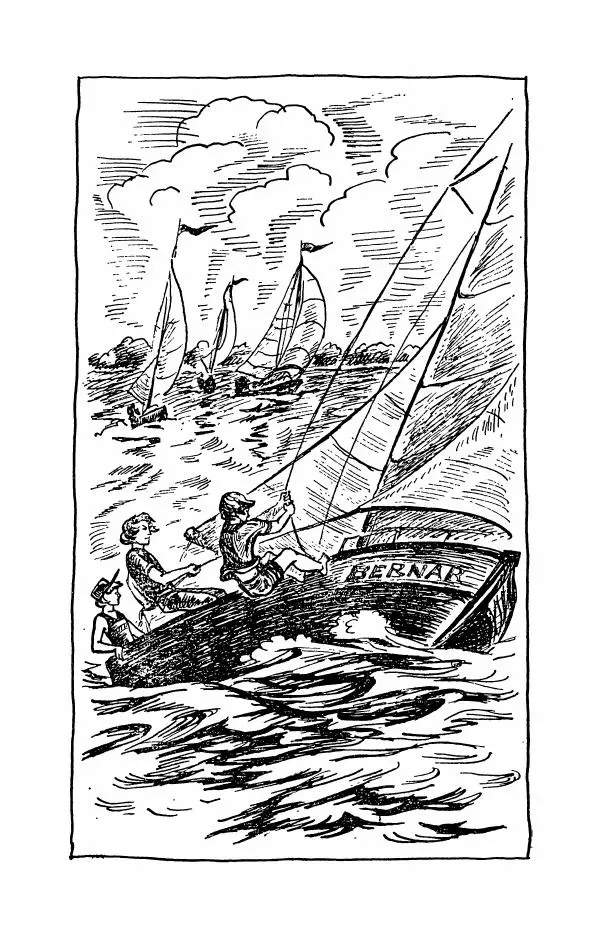 Либера Карлье - Проклятие могилы викинга. Керри в дни войны. Тайна «Альтамаре» - Страница № 270