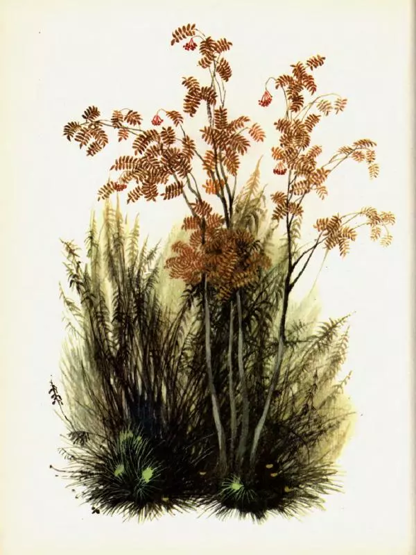 Лев Кузьмин - При ясном солнышке  - Страница № 7