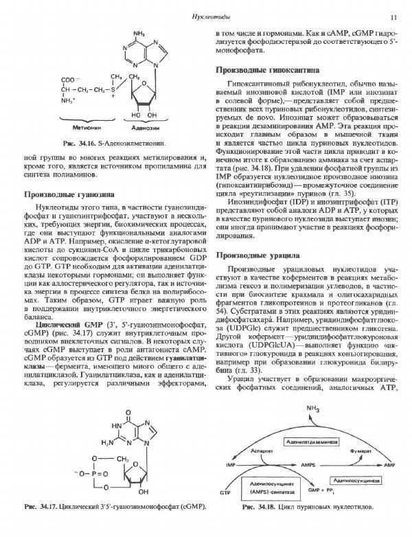 Роберт Марри - Биохимия человека. В 2-х томах. Том 2 - Страница № 12