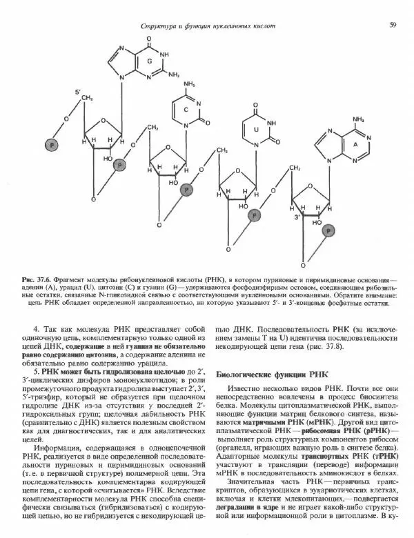 Роберт Марри - Биохимия человека. В 2-х томах. Том 2 - Страница № 60