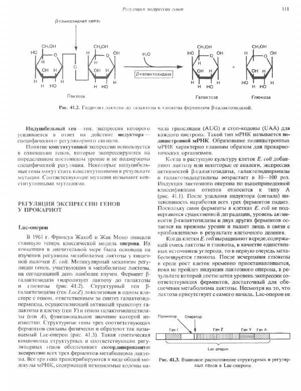 Роберт Марри - Биохимия человека. В 2-х томах. Том 2 - Страница № 112
