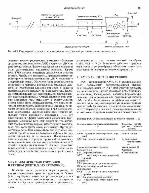 Роберт Марри - Биохимия человека. В 2-х томах. Том 2 - Страница № 162