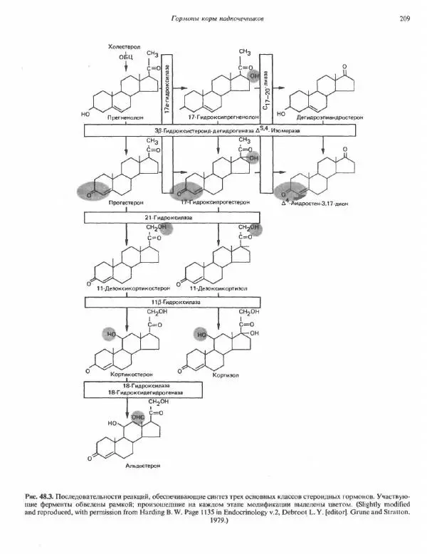 Роберт Марри - Биохимия человека. В 2-х томах. Том 2 - Страница № 210
