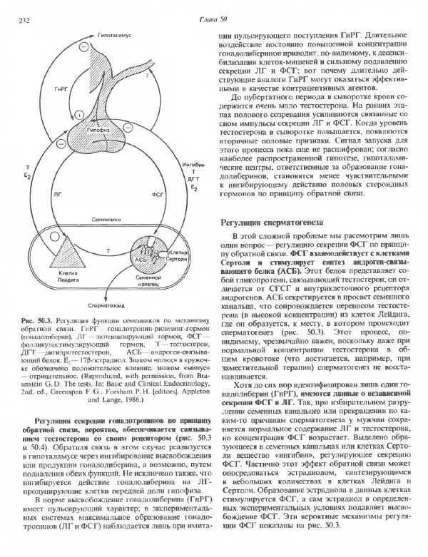 Роберт Марри - Биохимия человека. В 2-х томах. Том 2 - Страница № 233