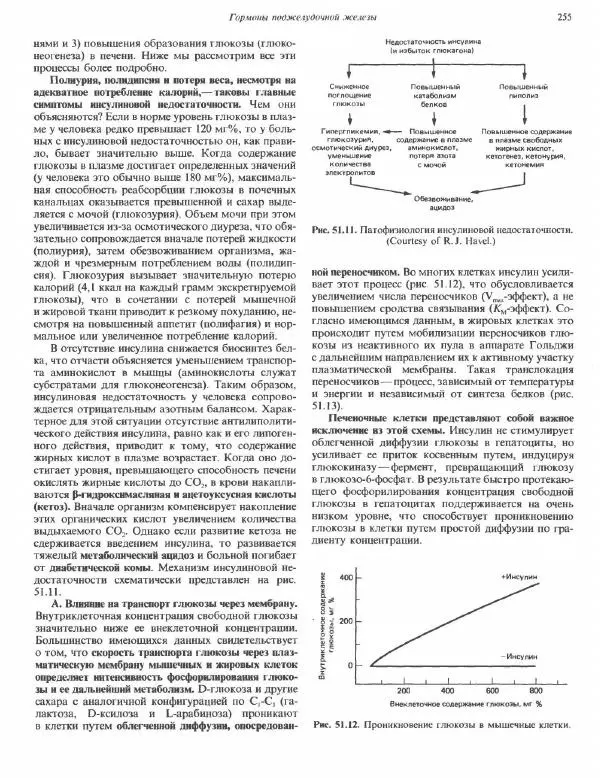 Роберт Марри - Биохимия человека. В 2-х томах. Том 2 - Страница № 256