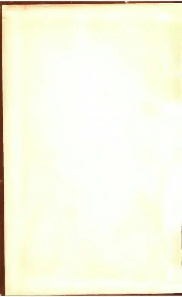 Дмитрий Медведев - Сильные духом - Страница № 2