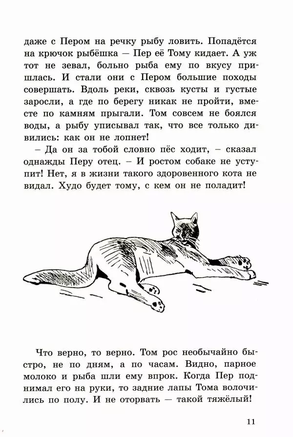 Ингвалл Свинсос - Том в горах - Страница № 14