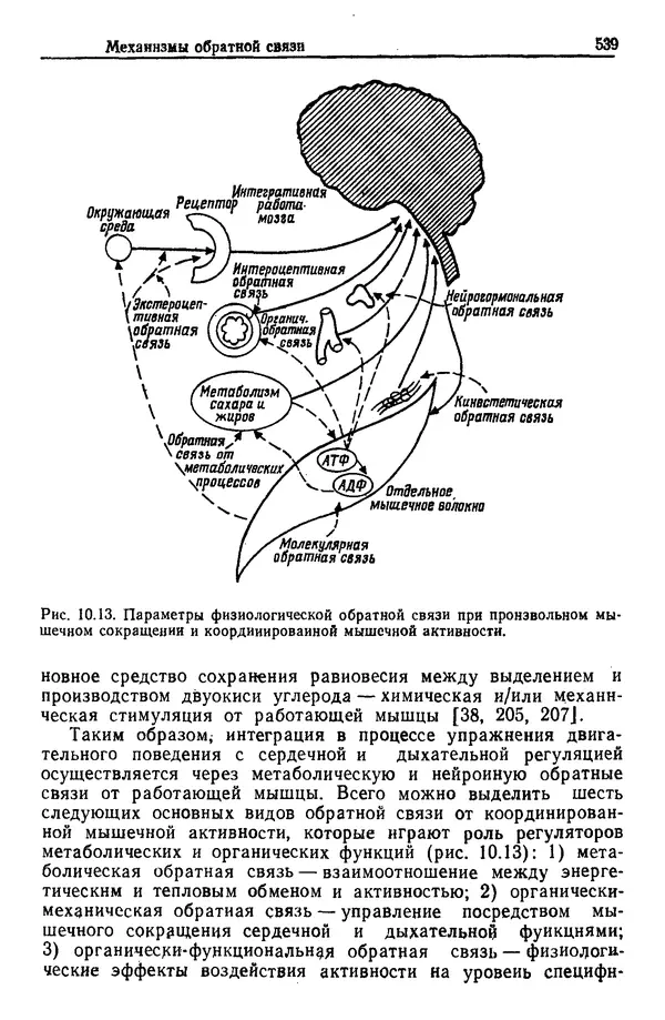 Жюльен Кристенсен - Человеческий фактор. В 6-ти тт. Т. 1. Эргономика — комплексная научно-техническая дисциплина - Страница № 539
