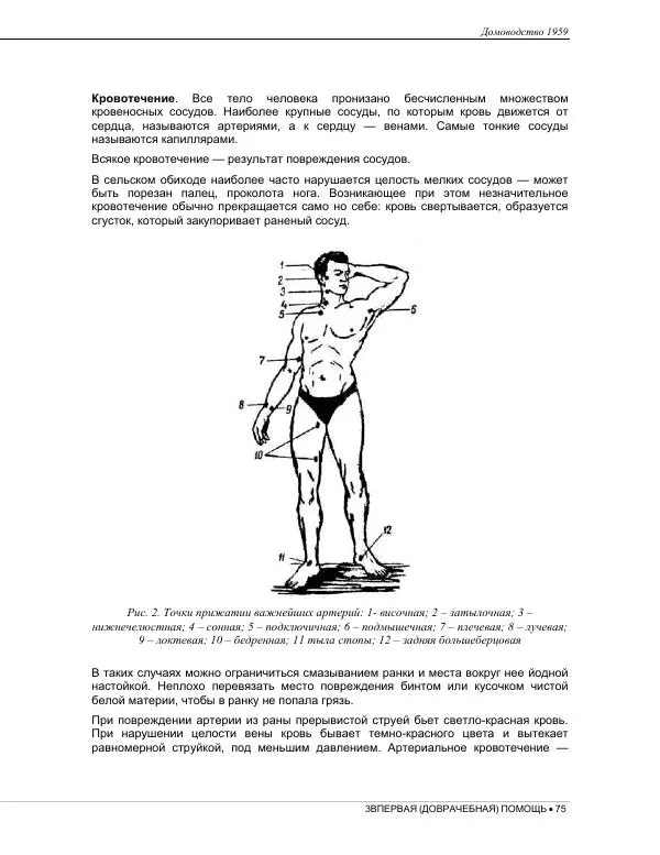  Коллектив авторов - Домоводство  - Страница № 89