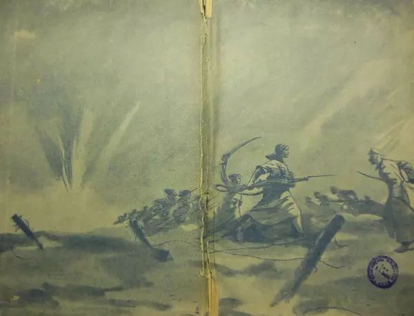 В Матюшина - Женщина в Гражданской войне (Эпизоды борьбы на Северном Кавказе в 1917-1920 гг.) - Страница № 2