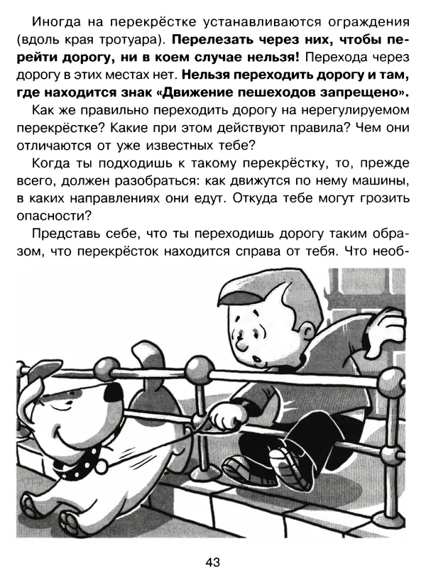 Григорий Элькин - Правила безопасного поведения на дороге  - Страница № 45