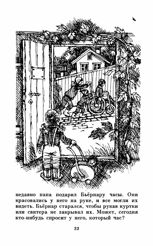 Анне-Катрина Вестли - Каос и Бьёрнар. Олауг и Пончик - Страница № 24