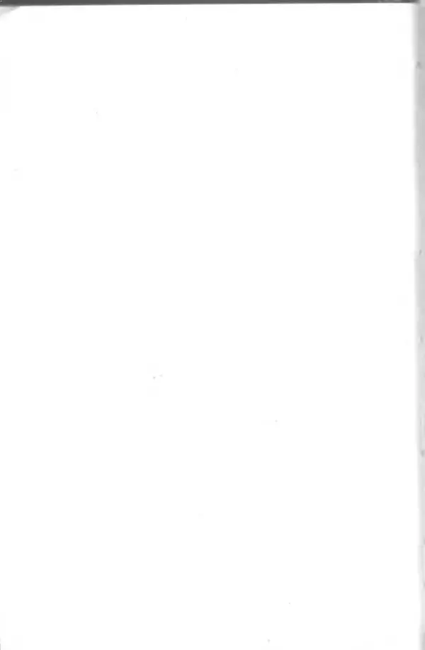 Яков Тайц - Рассказы и повести - Страница № 150