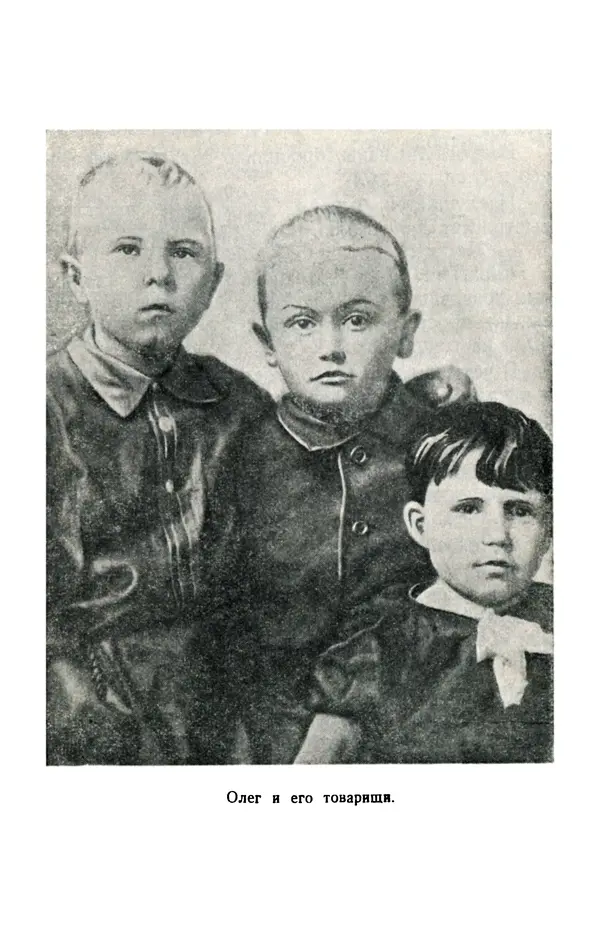 Елена Кошевая - Повесть о сыне - Страница № 20